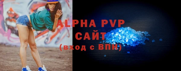 индика Мосальск