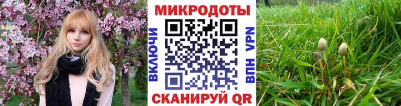 купить наркотик  блэк спрут   Галлюциногенные грибы прущие грибы  Ветлуга 