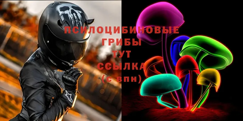 ОМГ ОМГ как зайти Ветлуга Псилоцибиновые грибы ЛСД закладка
